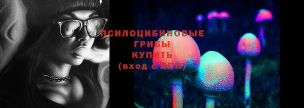 сатива Алзамай