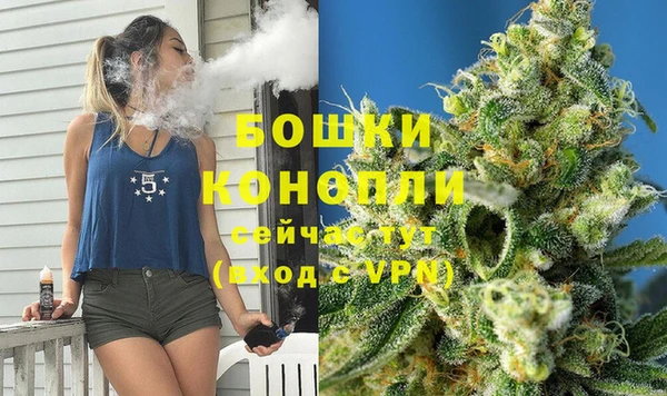 сатива Алзамай