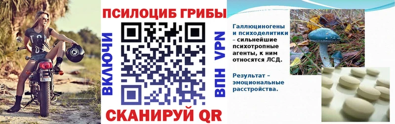 Галлюциногенные грибы прущие грибы  Обоянь 